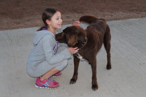 Harvest - child and dog