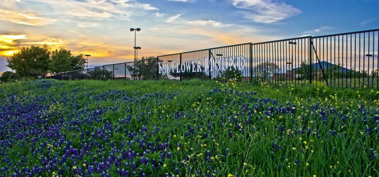 Help sow bluebonnets at The Flower Mound on Tuesday