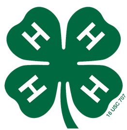 Denton County 4-H Club plans events