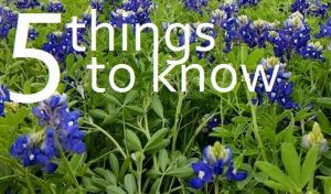 5 things to know