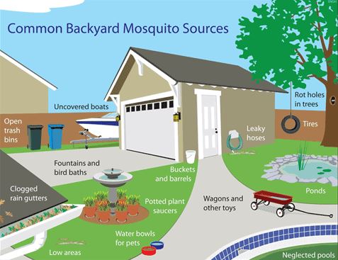 Flower Mound spraying after West Nile found in mosquitoes