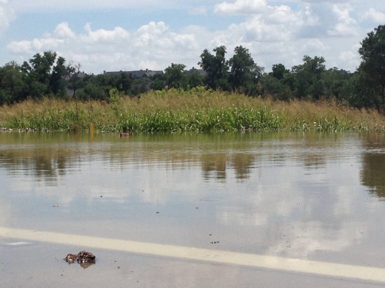 NWS issues flood warning for Denton Creek near Justin