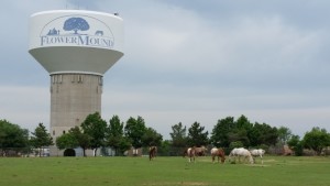 Flower Mound Water Tower horses spring 2015