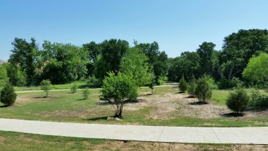 Lantana adds trees