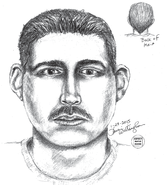Police release sketch of attempted child abduction suspect