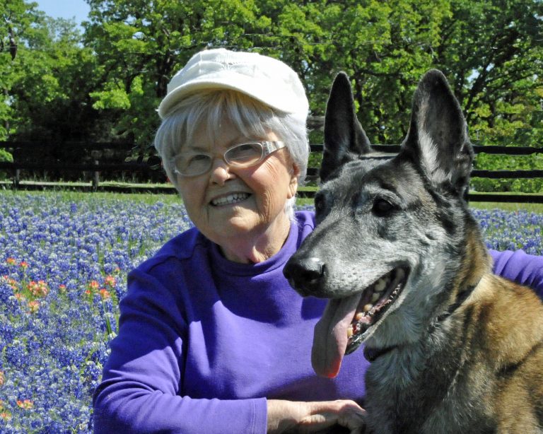 Tribute to my best friend and protector: Frisco, a Belgian Malinois