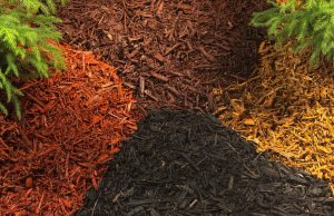 mulch