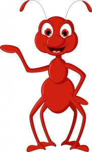 red ant