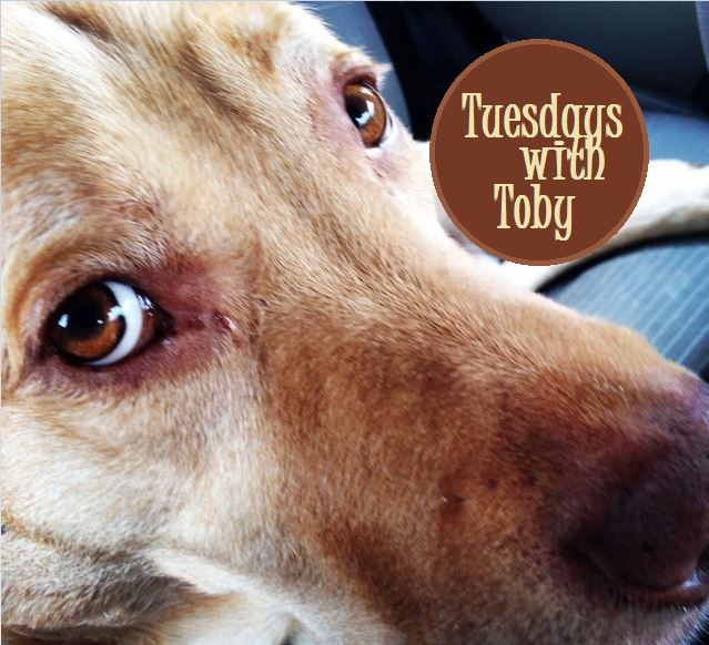 Tuesdays with Toby: Part of a family