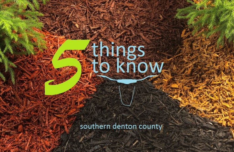 Five things to know: August 21