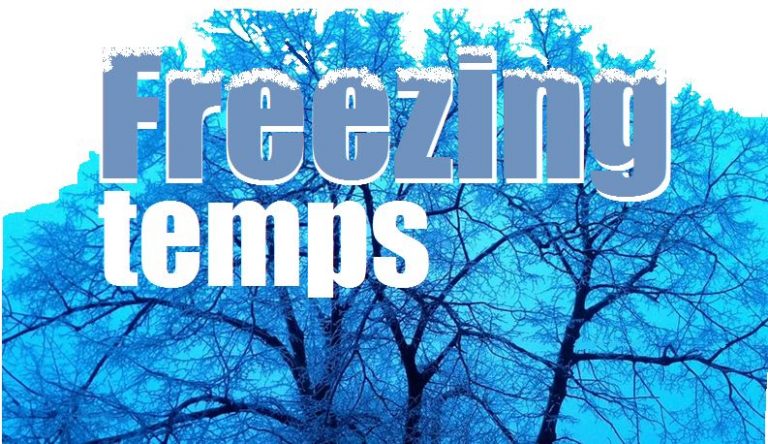 Cold front brings gusty winds, freezing temperatures to Denton County