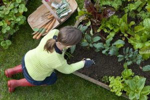 gardening