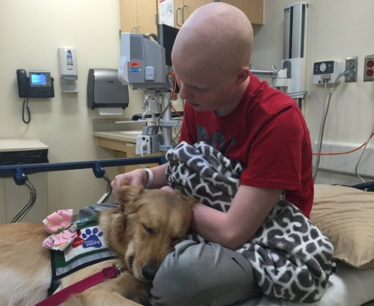 Argyle students hold “No Shave November” fundraiser