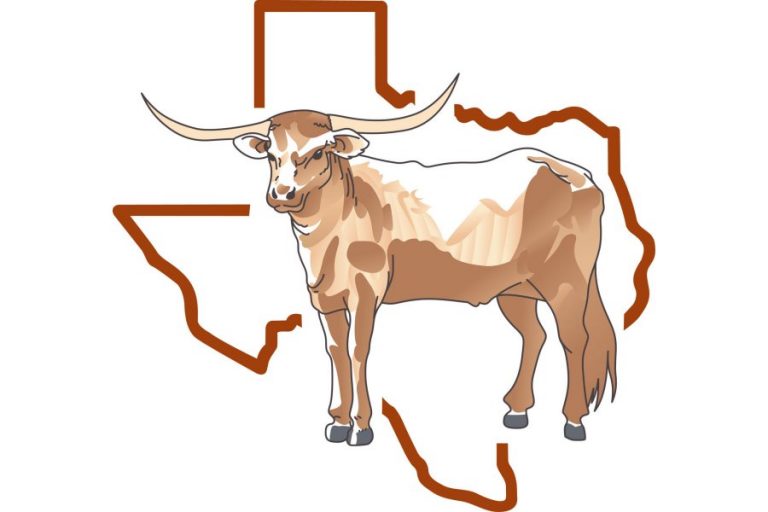 C. Stroup: A Taste of Texas