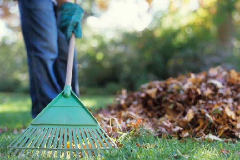 Prep your garden for winter