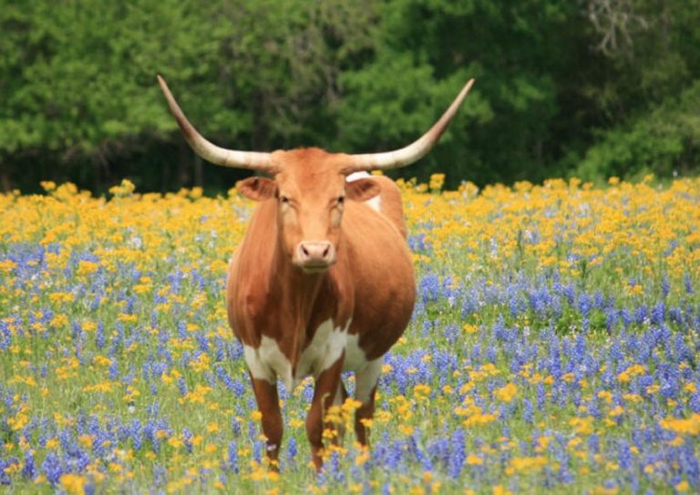 Beginning farmers workshop offered
