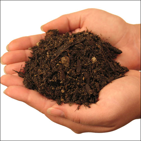 Gardening: Think today about next year’s soil