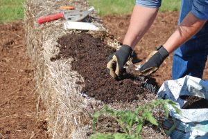 Create a planting bed for seeds by covering the straw bale with a one- to two-inch layer of planting mix. (Photo: Melinda Myers, LLC)