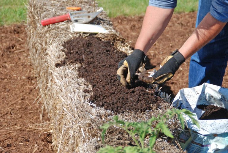 Create a garden anywhere with straw bales