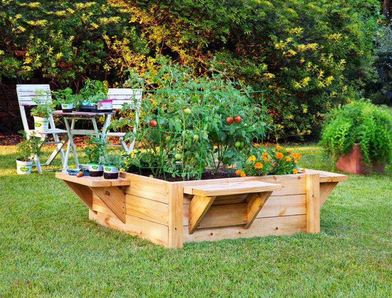 Ease into gardening with a raised bed