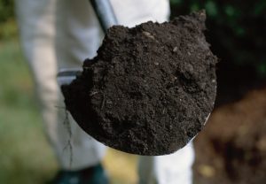 how-to-prepare-soil-for-planting-15
