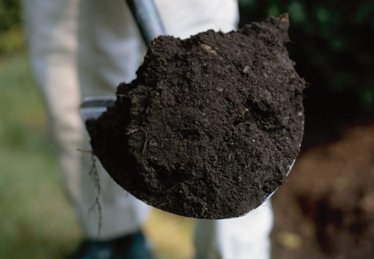 Gardening: Topsoil Fertility