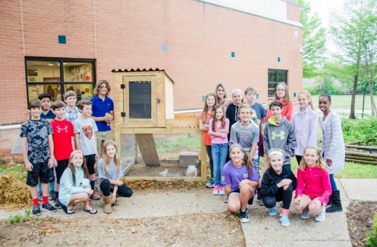 Chickens find new home at Bridlewood Elementary