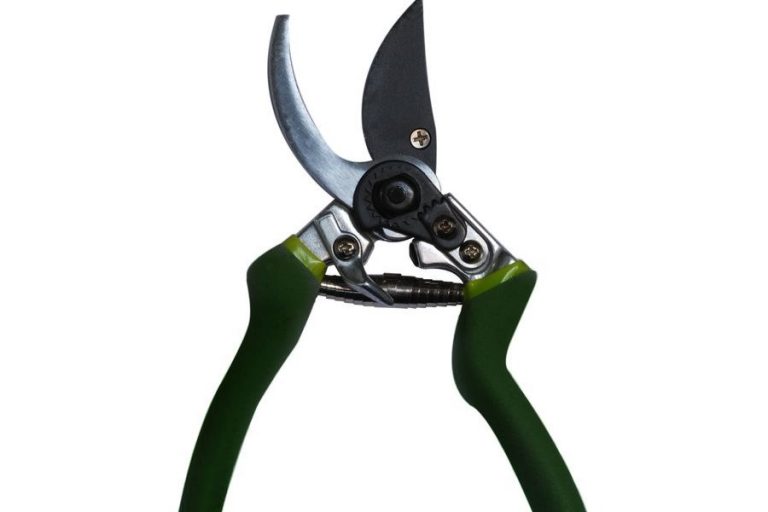 Pick Your Weapons: Pruning 101