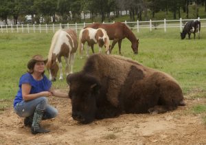 Mari Beth Connor of Flower Mound and Bullet the bison. (Photo by Helen's Photography)