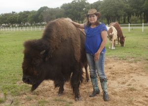 Mari Beth Connor of Flower Mound and her new pet, Bullet the bison. (Photo by Helen's Photography)