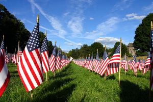 american flags