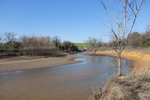 The Elm Fork of the Trinity river runs through Denton County, north to south. This section through Lewisville is in the LLELA nature preserve. (Photo by Steve Southwell/Lewisville Texan Journal)