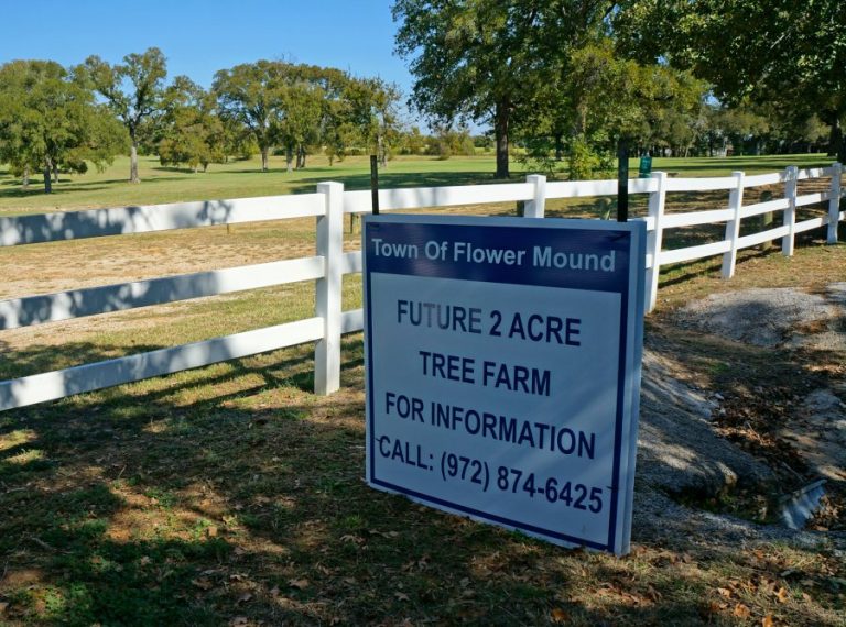 Flower Mound to relocate, expand tree farm