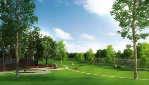 Rendering of dog park to be located east of the central roundabout at Lakeside.