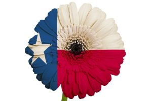 texas-flower