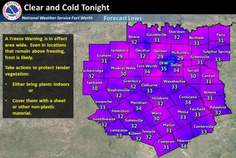 Freeze Warning in effect this weekend