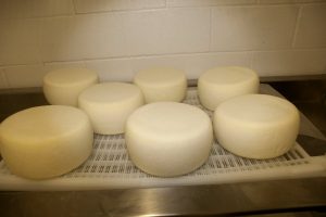 goat-cheese