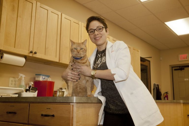 Bartonville Veterinary Center in good hands with new owner