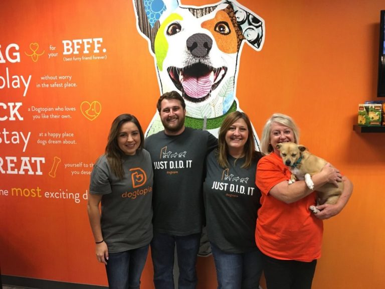 Pup Paradise: Dogtopia offers home away from home