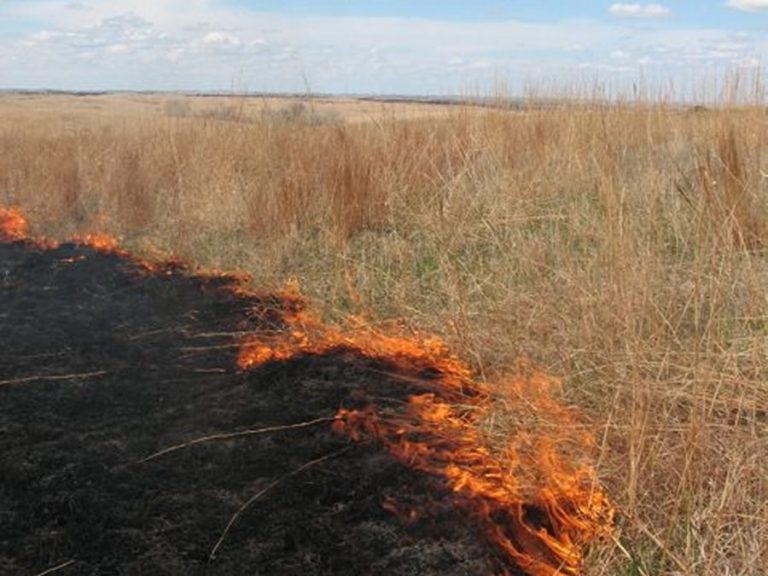 Controlled burn planned for Mound