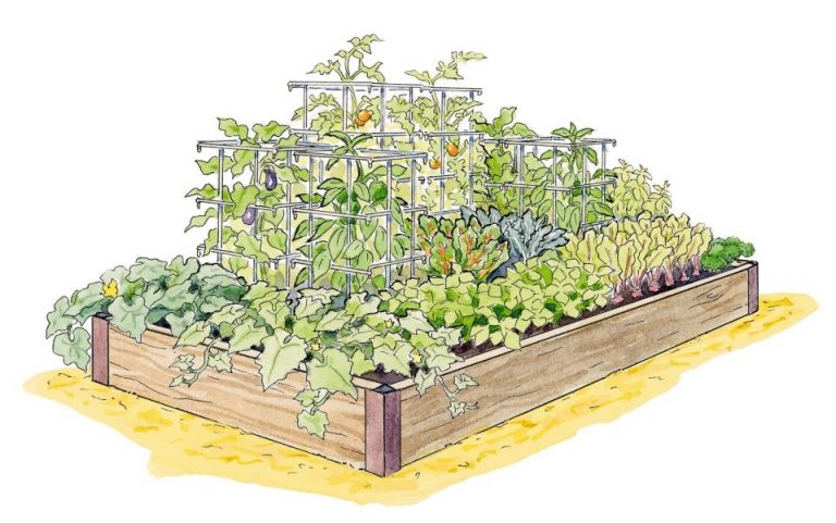 Grow a high yield vegetable garden this season