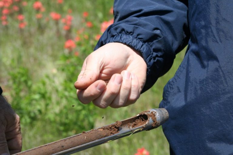 Free Soil Samples – Limited Time Offer