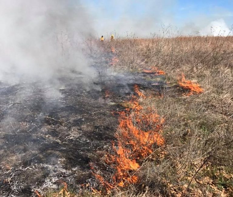 Controlled burn helps Mound thrive