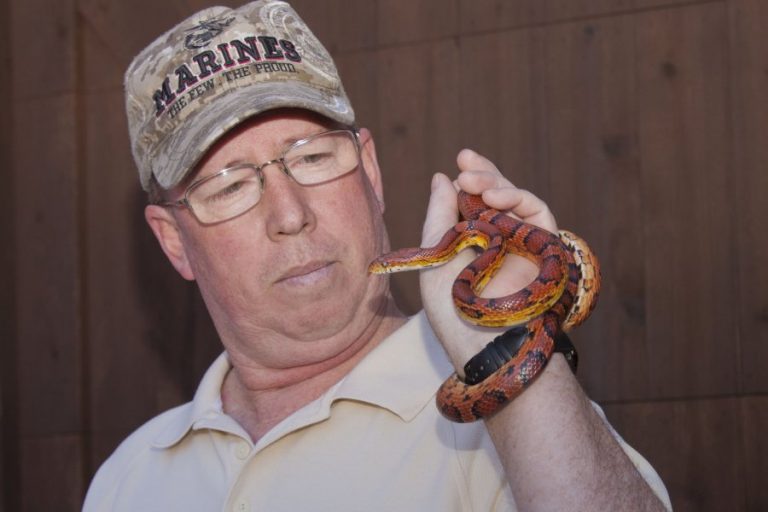 The snakes are awake