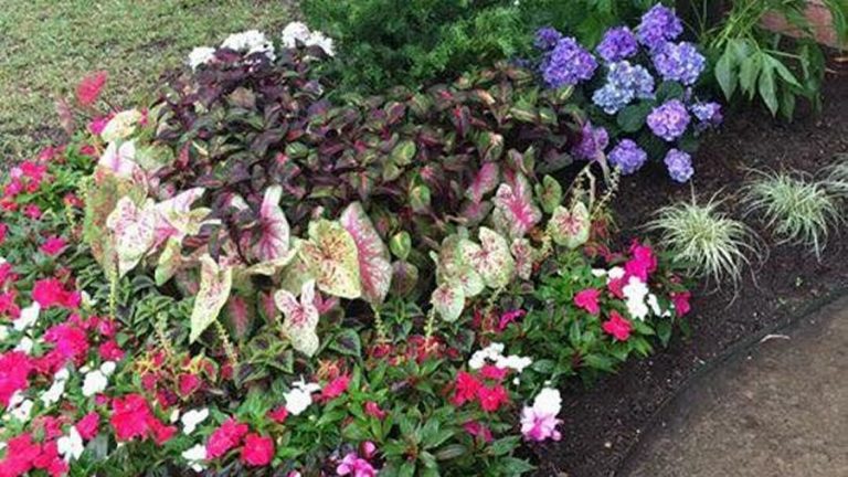 Are You Ready for Spring?