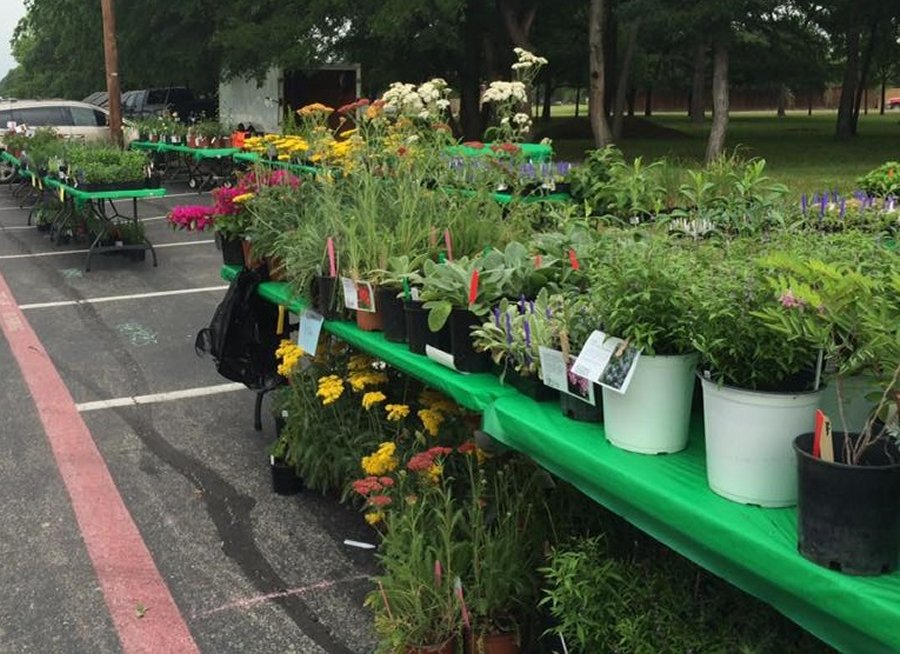 rijm Vernauwd vloeiend Gardening: Get growing at Spring Plant Sale & Garden Tour - Cross Timbers  Gazette | Southern Denton County | Flower Mound | News