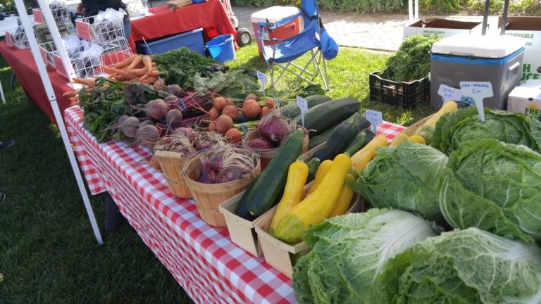 Denton Community Market to open Saturday