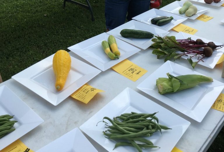 Learning about gardening