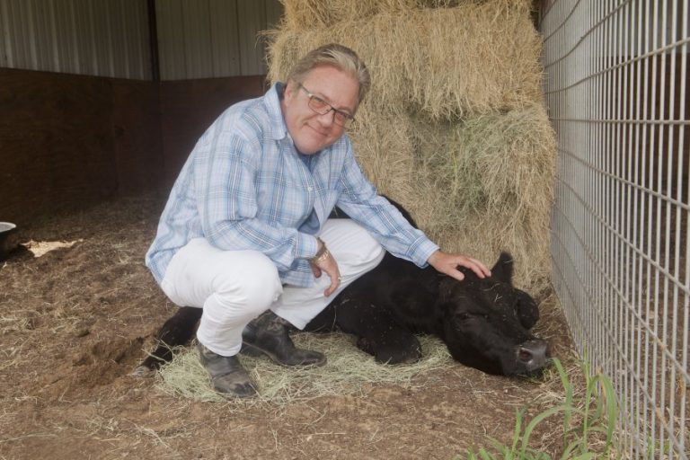 Weir: Ranch Hands Rescue — the therapeutic power of working with animals