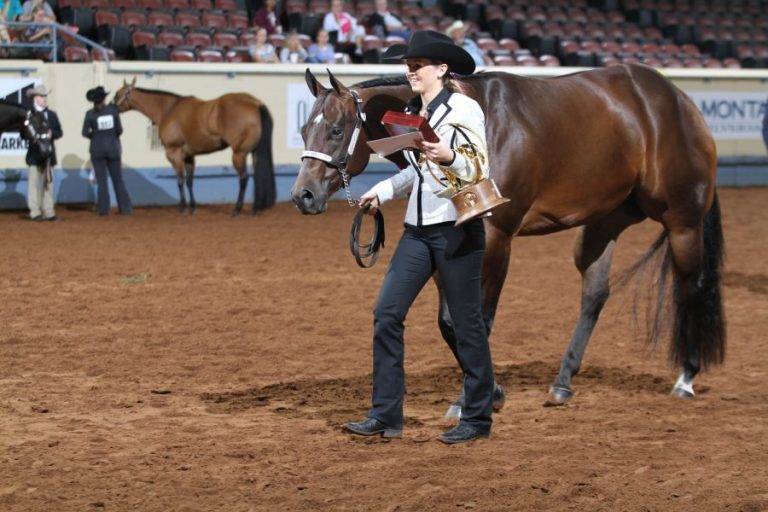 Argyle teen wins quarter horse competition world championship